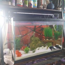 Tank And Livestock