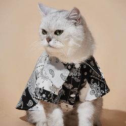 pet shirt