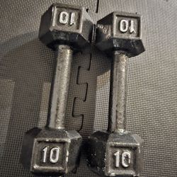 weights Bar Bells