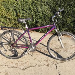 Raleigh Hybrid Bike 