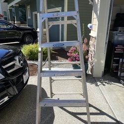 6’ Werner Ladder