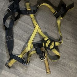 Harness