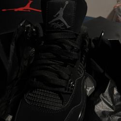 Black Cats 2020 Version 