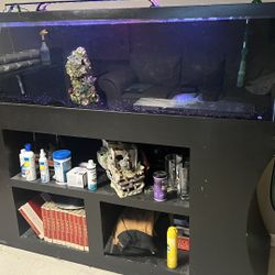 6ft 100gallons Fish Tank For Sale