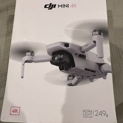 DJI Mini 4K