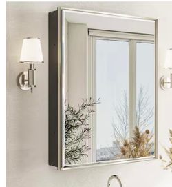 Musey 24 in W x 30 in H Brush Nickel Rectangular Aluminum Medicine Cabinet with Beveled Mirror, Recessed or Surface