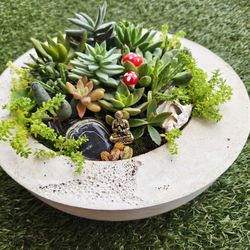 Succulent Garden Bowl