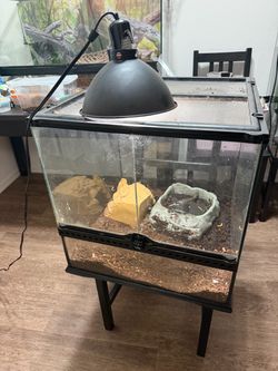 Reptile enclosure (double doors)