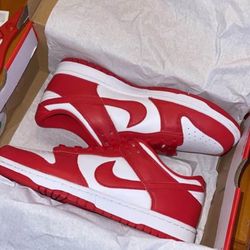 Men’s Nike Dunk 