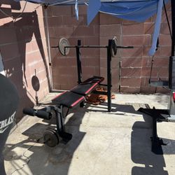 Weights and Training Equipment