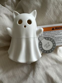 Light Up Ghost Cat 