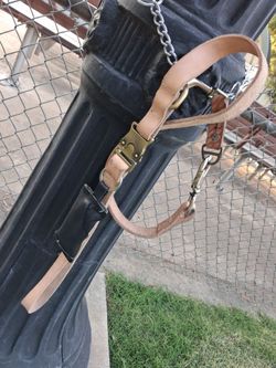 Leather dog leash