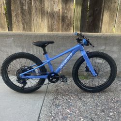 Specialized Riprock 20” Wheels 9 Speed Kids Mountain Bike
