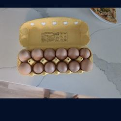 Daily Fresh Eggs