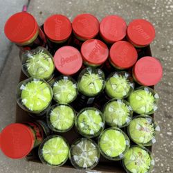 tennis balls 72 Balls