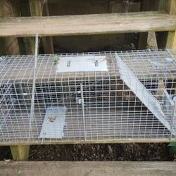Animal Trap