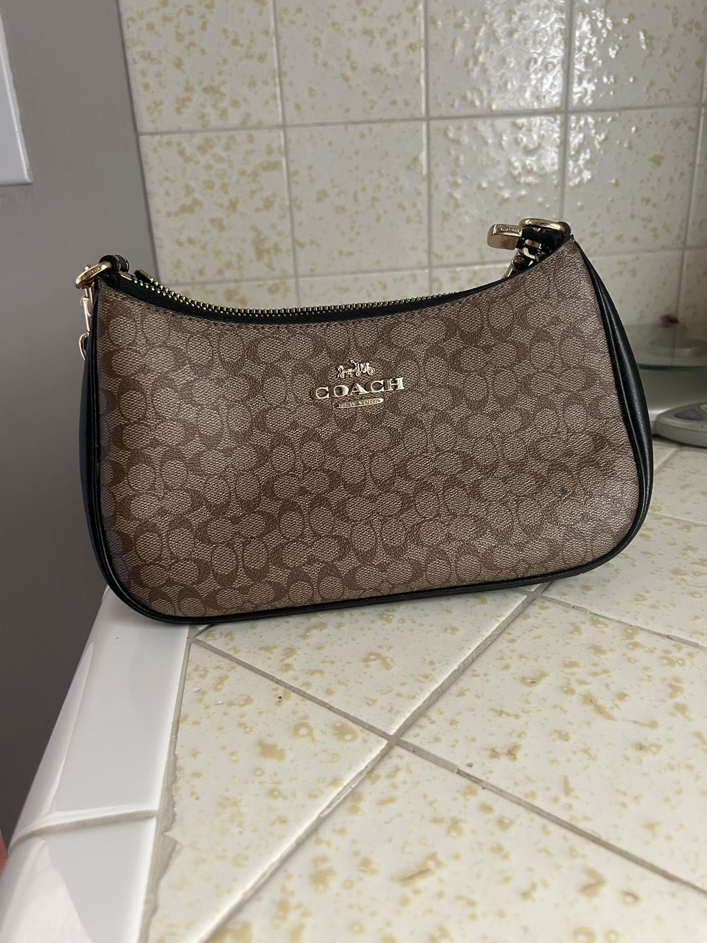 Coach Terri Signature Canvas
