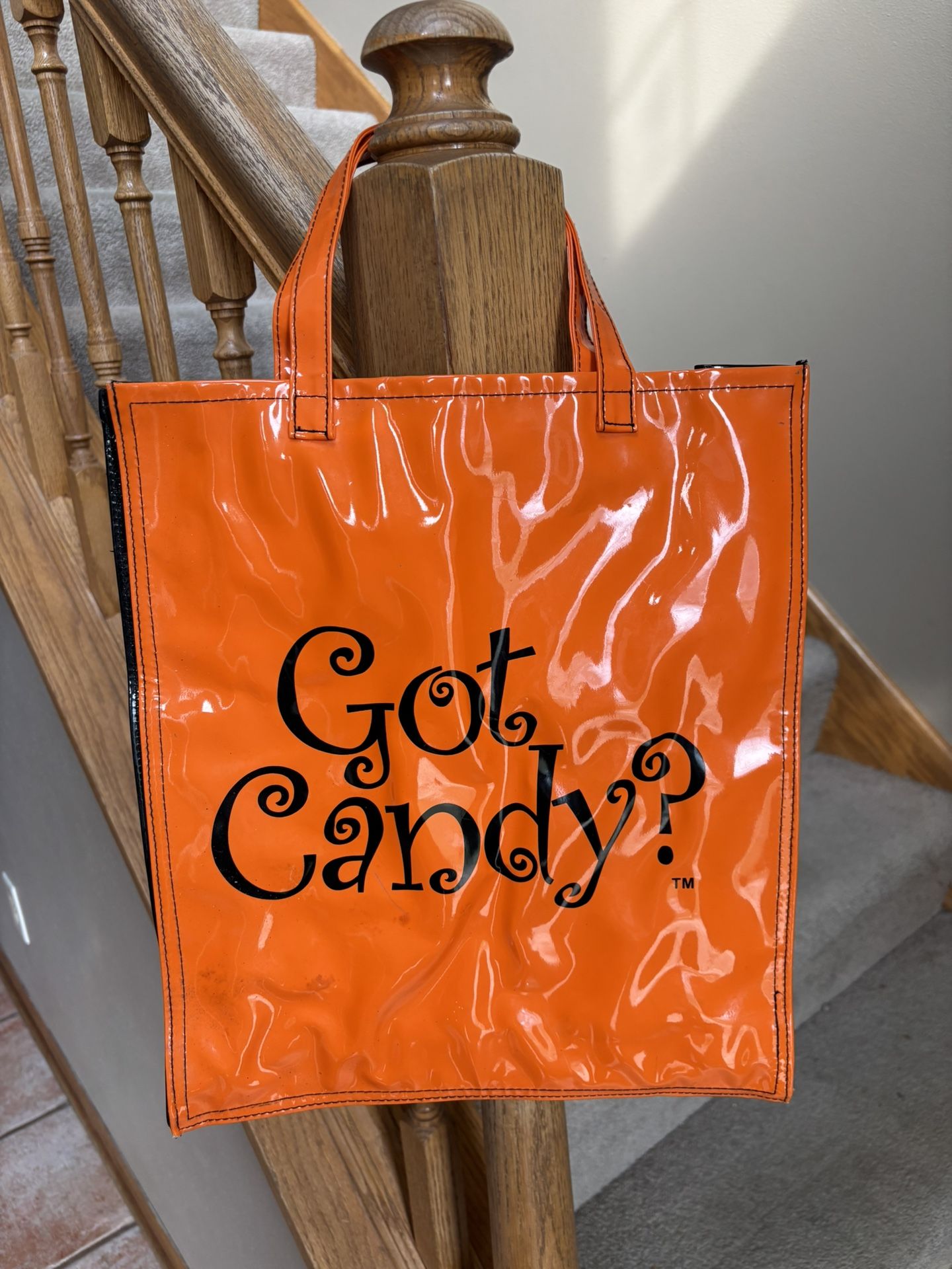Halloween Vinyl Trick-Or-Treat Bag