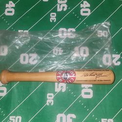 Iron city beer clemente bat