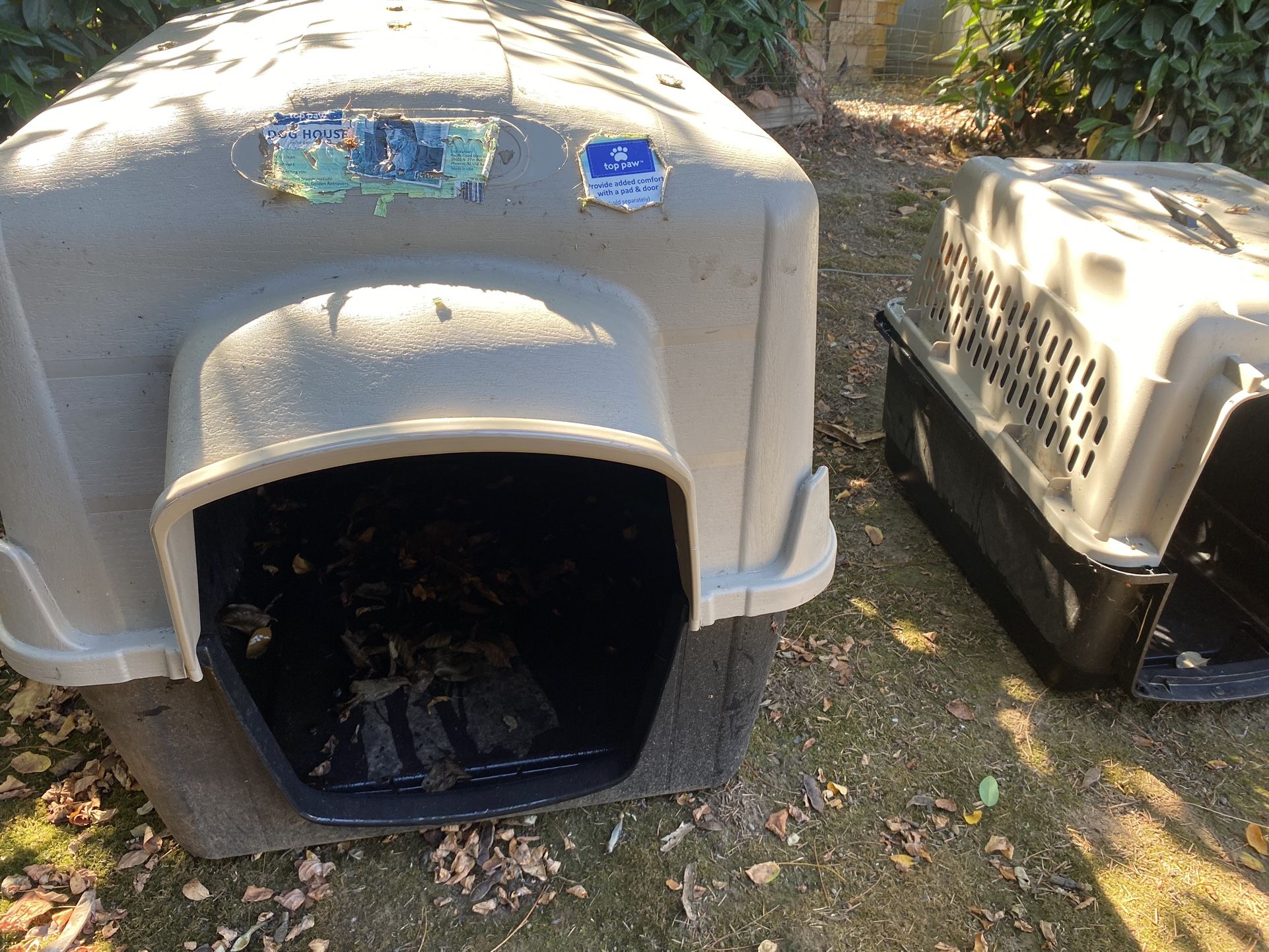 DOG HOUSE