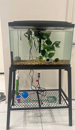Complete Aquarium Setup with Stand and Accessories
