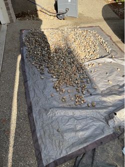 Free River Rocks! Some still left for the taking!