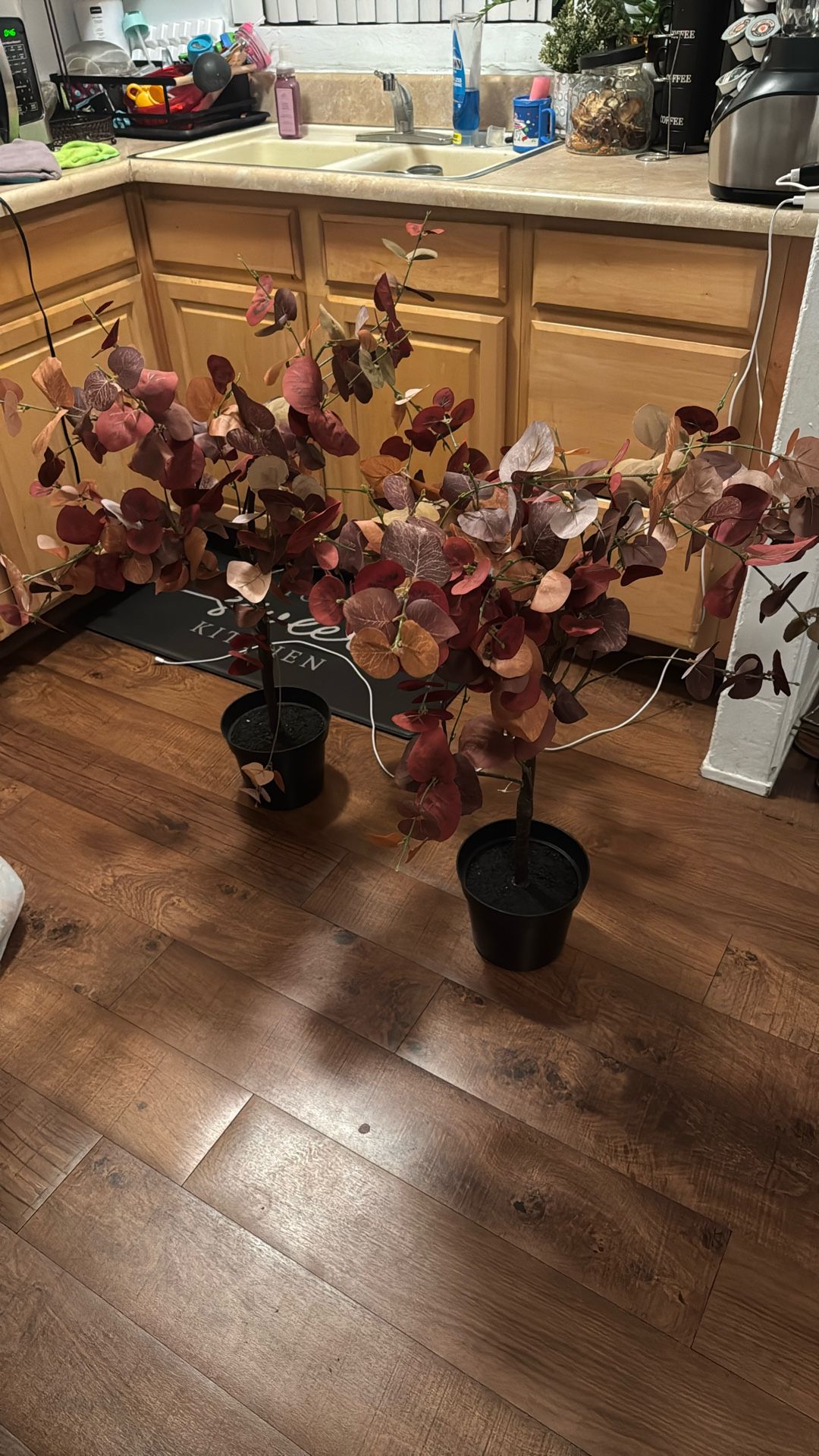 2 Michaels Fall Plants Decor