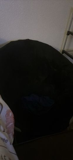 Two Fluffy Chairs