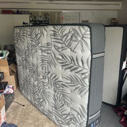 Costco Sealy Queen Mattress And Box Spring Like New 