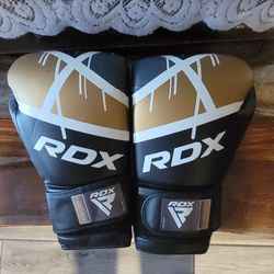RDX Boxing gloves 