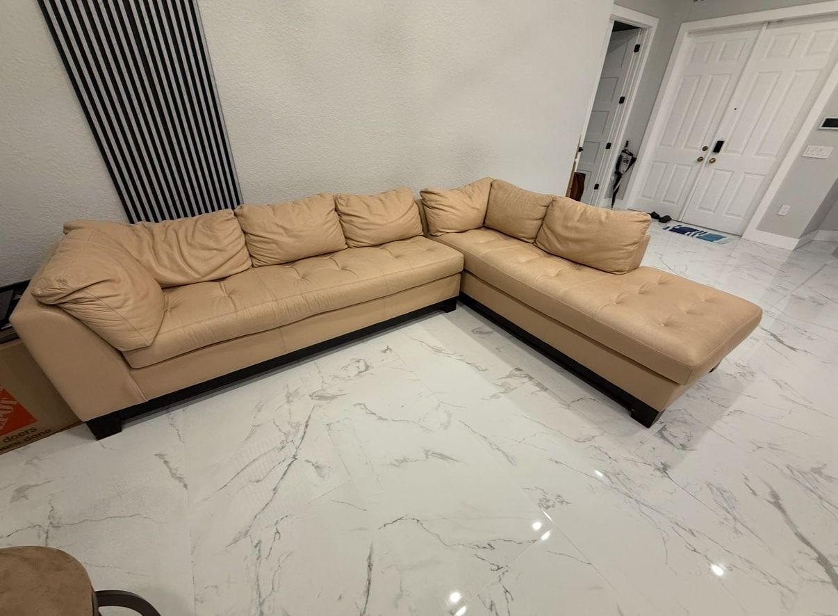 Sectional Couch