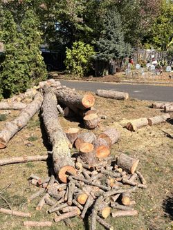 Fresh Cut Pine