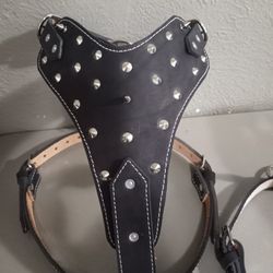 Harness for Dog 🐶  100% Leather  Size M,L,XL , XXL, blue, Red, Dark Brown,golden Brown, Black (Pecheras Para Perros Vaqueta Todas Las Medidas