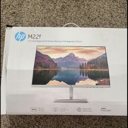 Computer Monitor 