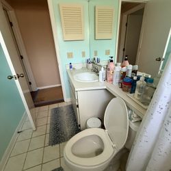 Vanity And Toilet
