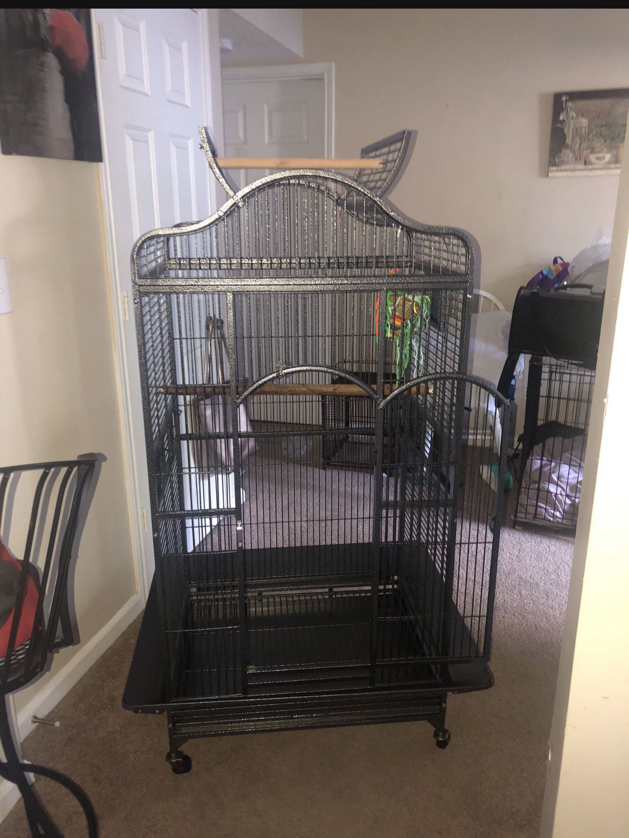 Cage For Sale (BIRD NOT INCLUDED)