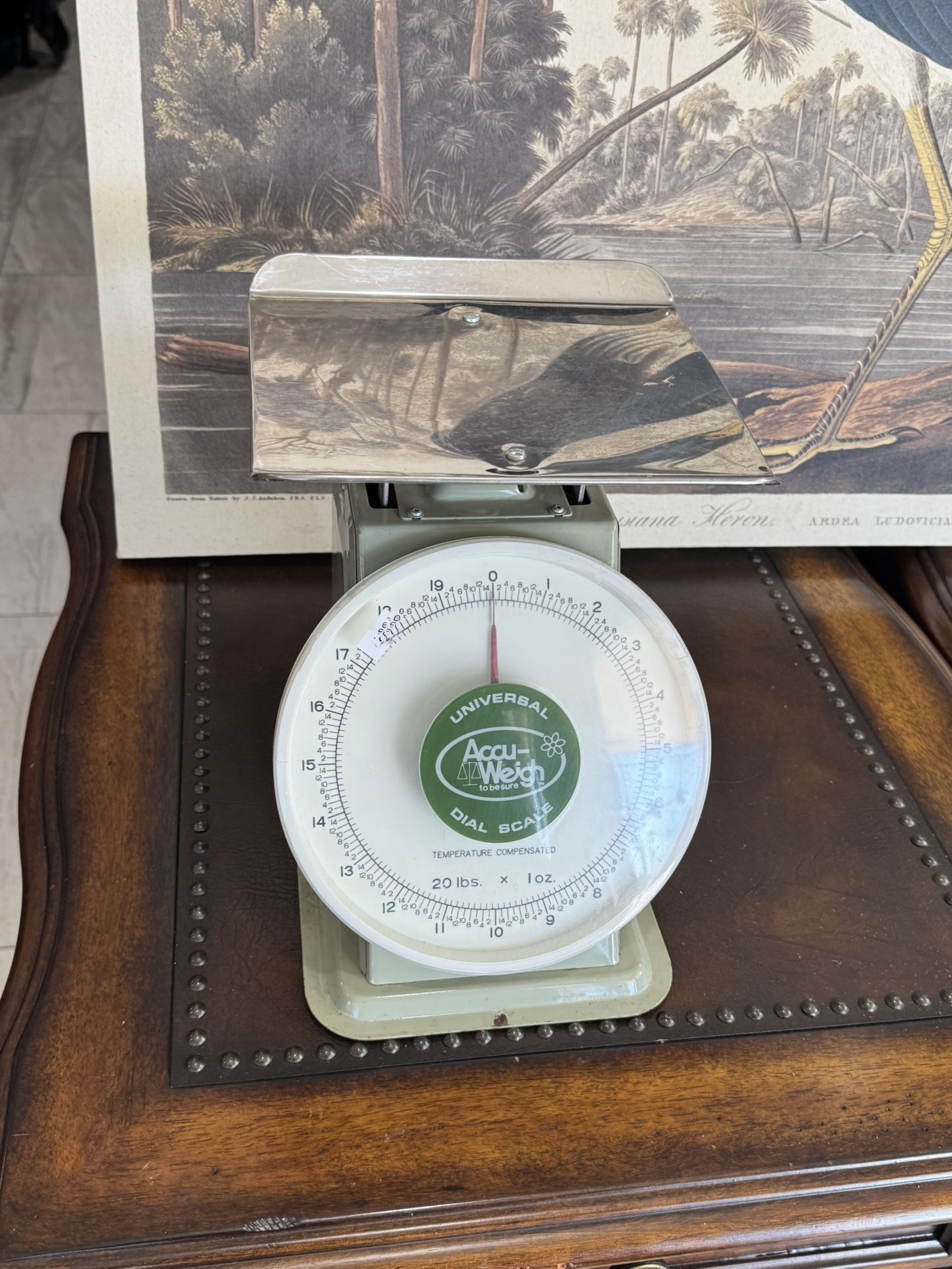 Scale-Universal Dial Portion Scale