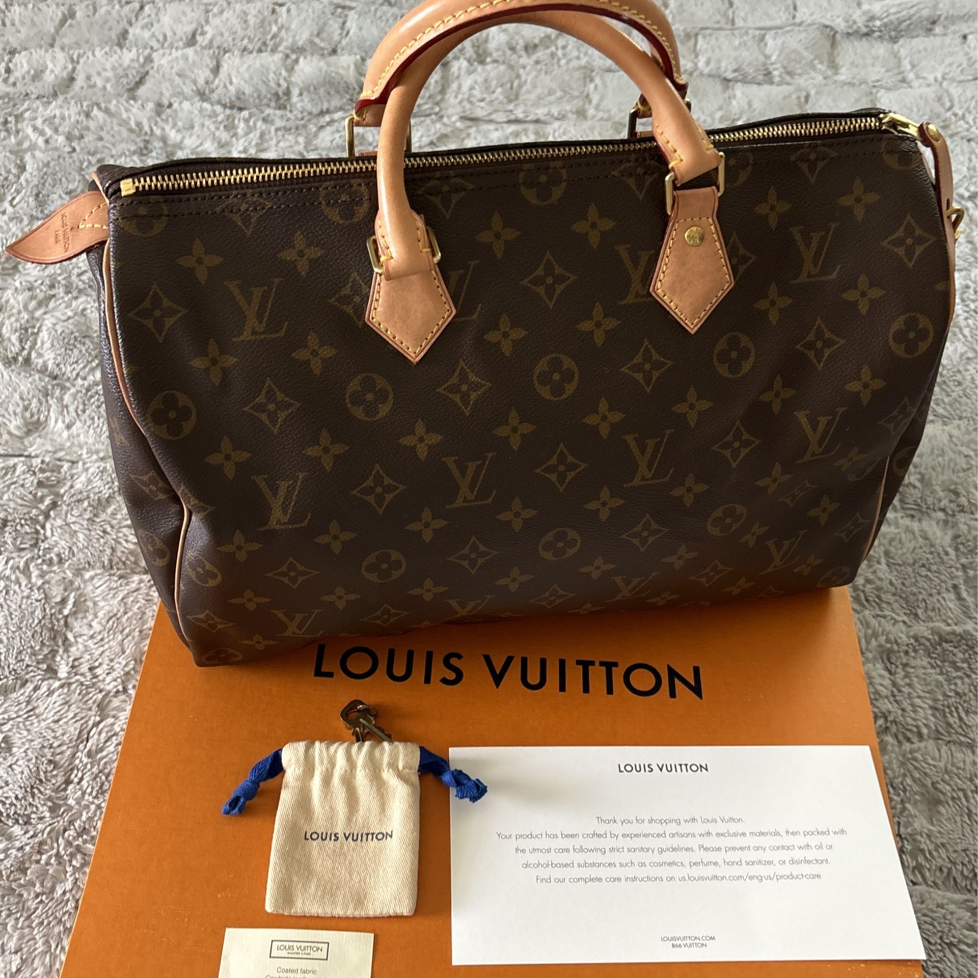 Louis Vuitton Handbag