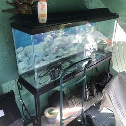 Fish Tank