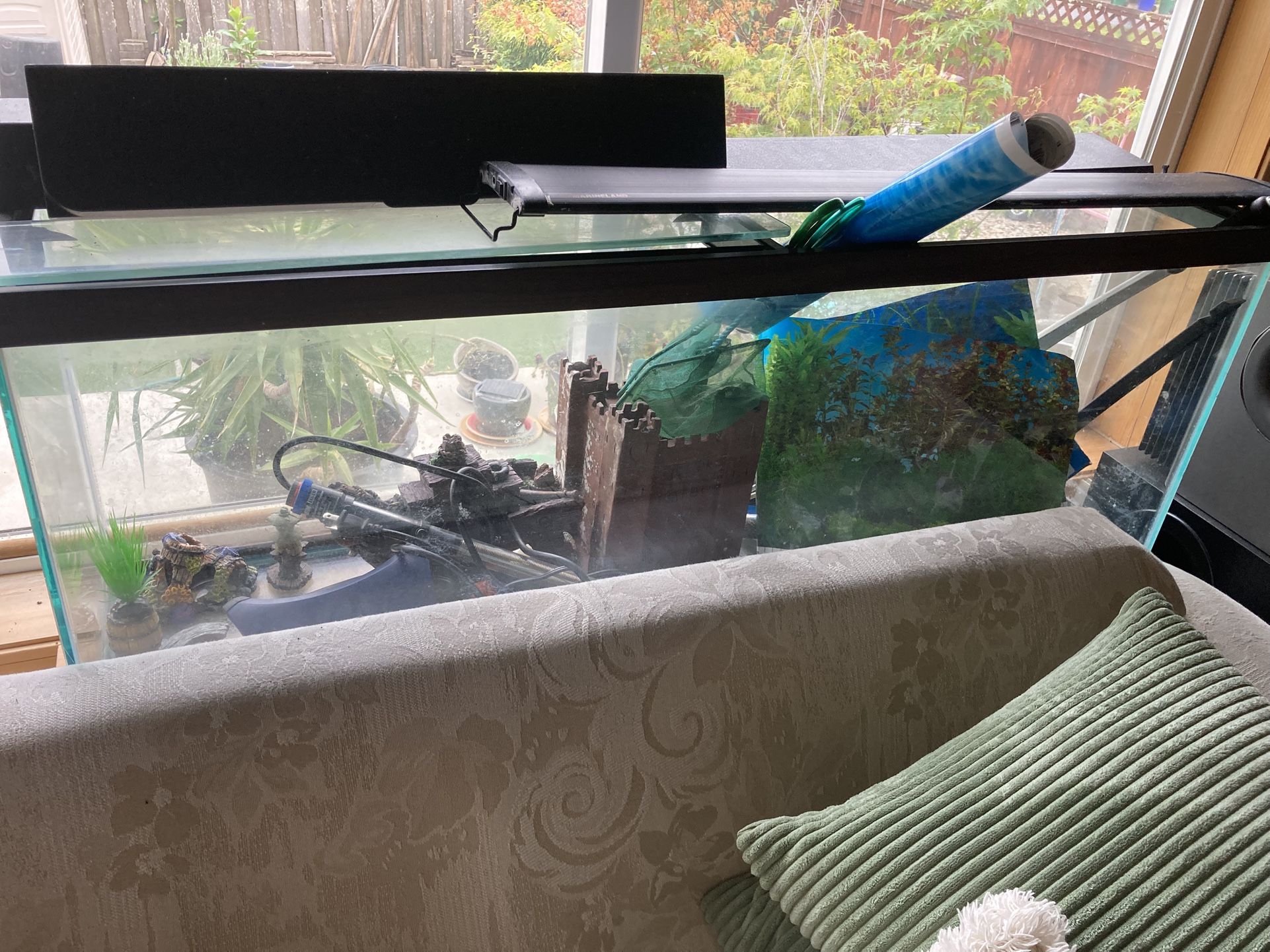 55 Gallon Fish Tank With All Accessories. (like New)