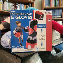 Franklin punching bag and gloves "Brand New In Box" 
