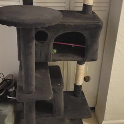 Cat Tower 