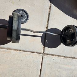 Olympic Weight And Curl Bar 