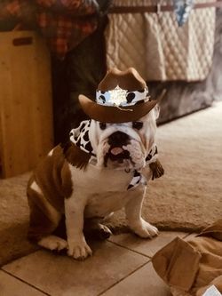 M/L cowboy - cowgirl costume