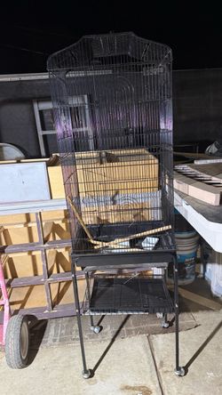 Big bird cage