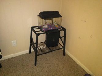 Fish tank and stand