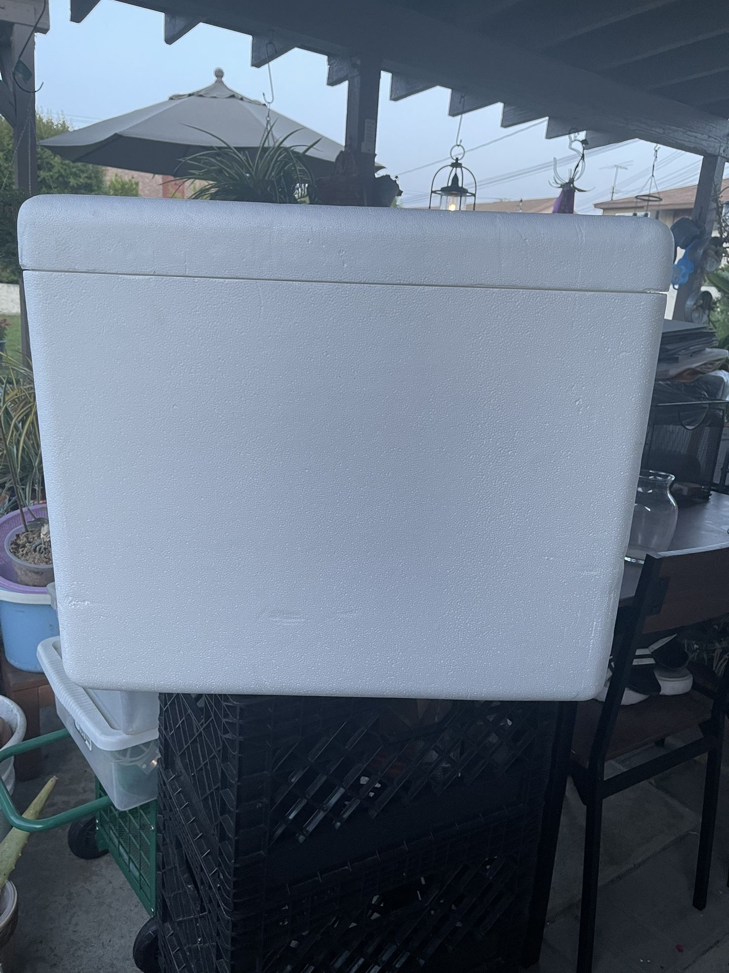 Styrofoam Cooler
