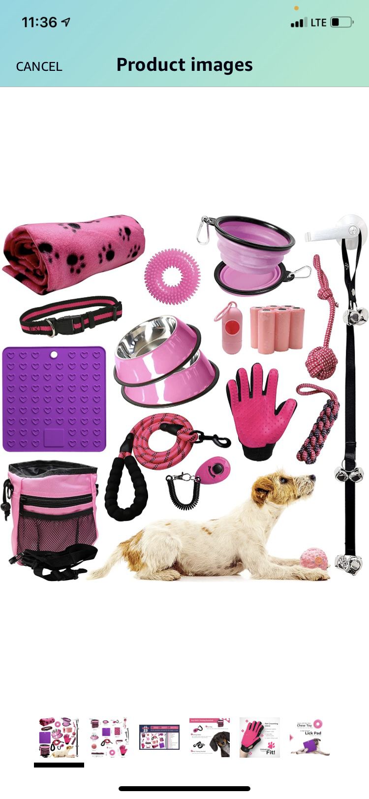 Pink Themed Small Puppy Starter Kit 