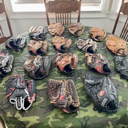 Rawlings Baseball Gloves/Easton Ball/Bat/Glove Bag