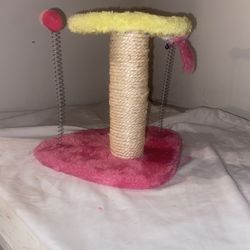 Brand New Cat Toy For 5 Dollars 